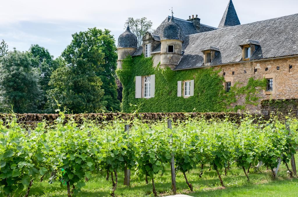 Chateau De Labro - Teritoria Onet-le-Château Kültér fotó
